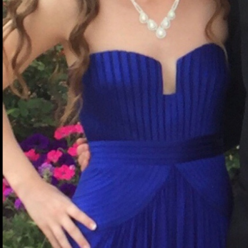 BCBG Maxazria Ball Gown / Prom dress - Picture 4 of 4